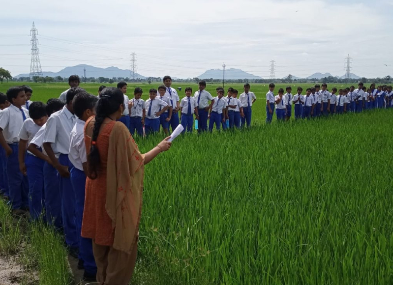 Trips and Expeditions